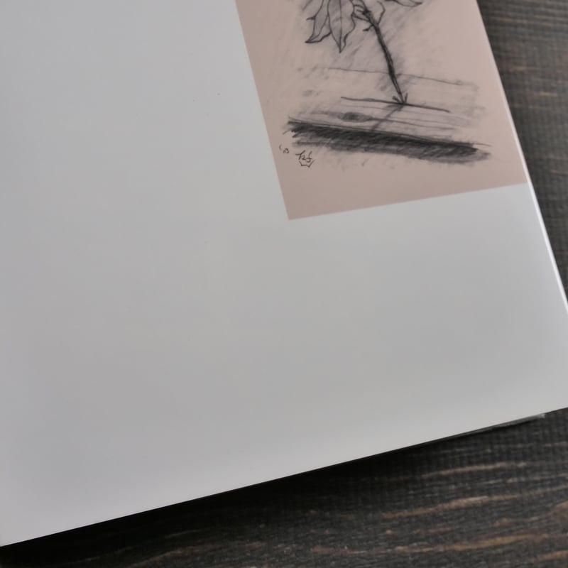 二百年の子供 大江健三郎 | 古書店うみつばめ