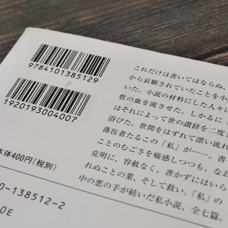 漂流物 車谷長吉（新潮文庫） | 古書店うみつばめ