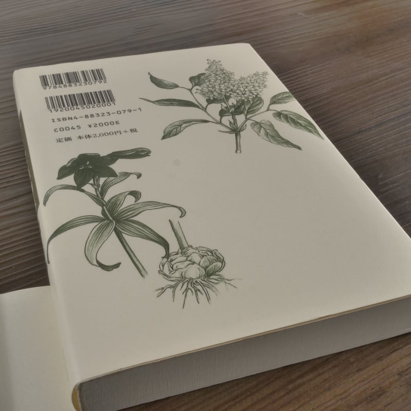 アイヌ植物誌（B6判）福岡イト子／佐藤寿子（挿画） | 古書店うみつばめ
