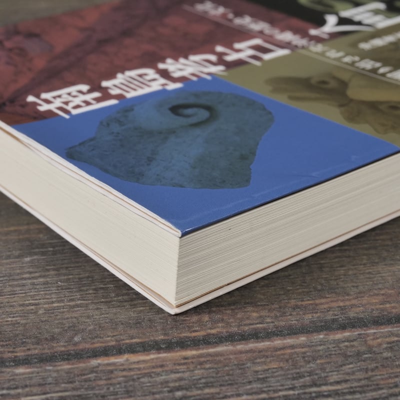 南島考古入門 掘り出された沖縄の歴史・文化 沖縄考古学会 編 ※再入荷