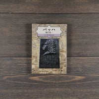 バッハ 　カラー版作曲家の生涯　樋口 隆一（新潮文庫）