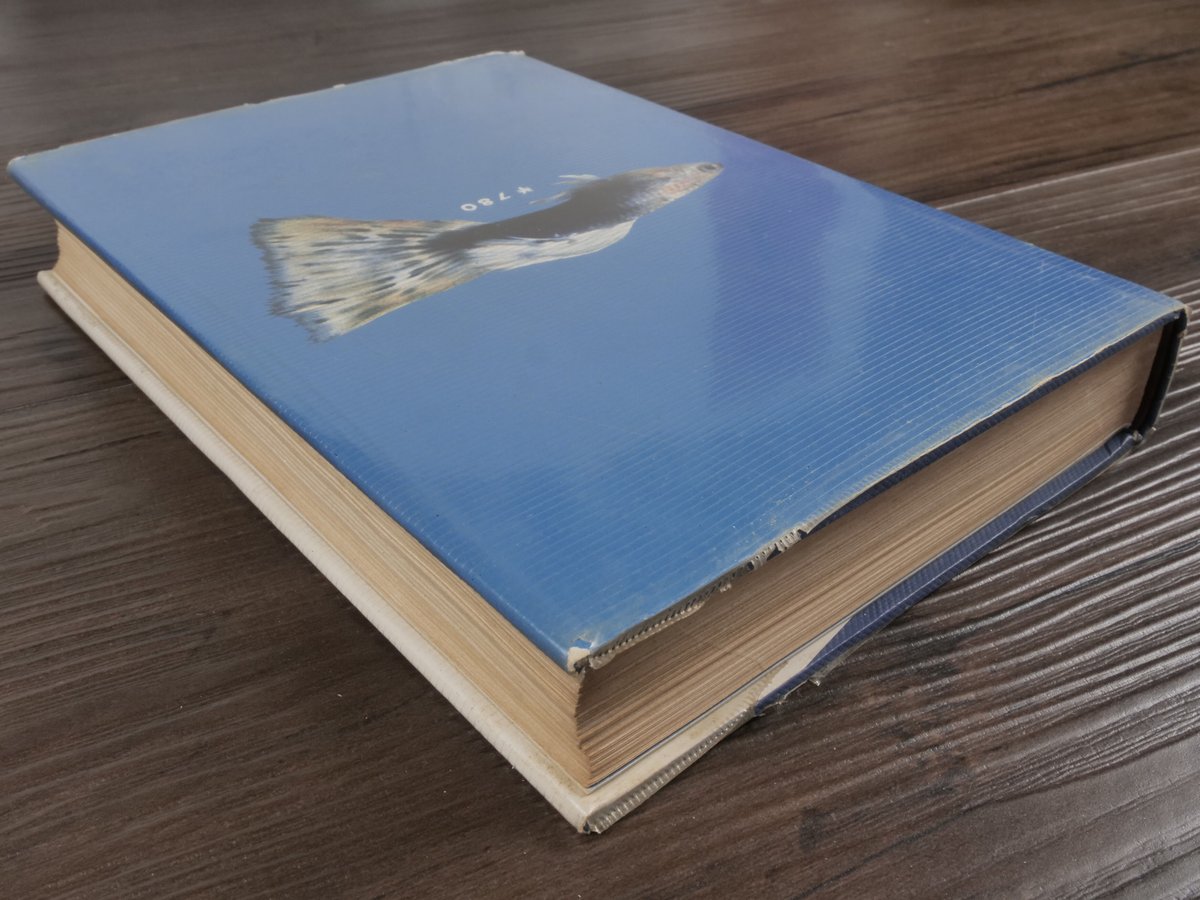グッピー百科 飼育の基本から美の作出へ（B6判）和泉克雄 | 古書店うみ 
