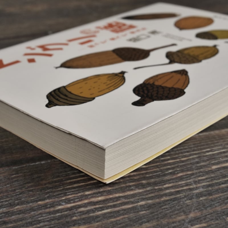ドングリの謎 -拾って、食べて、考えた 盛口満（ちくま文庫） | 古書店