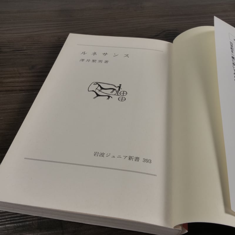 ルネサンス 澤井繁男（岩波ジュニア新書） | 古書店うみつばめ