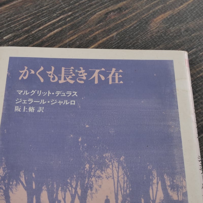 かくも長き不在 マルグリット・デュラス／ジェラール・ジャルロ