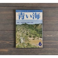 角川日本地名大辞典47 沖縄県 ※月報31付（執筆：外間守善・鏡味