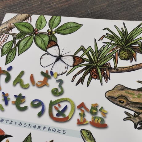 やんばる生きもの図鑑　沖縄の山原でよくみられる生きものたち