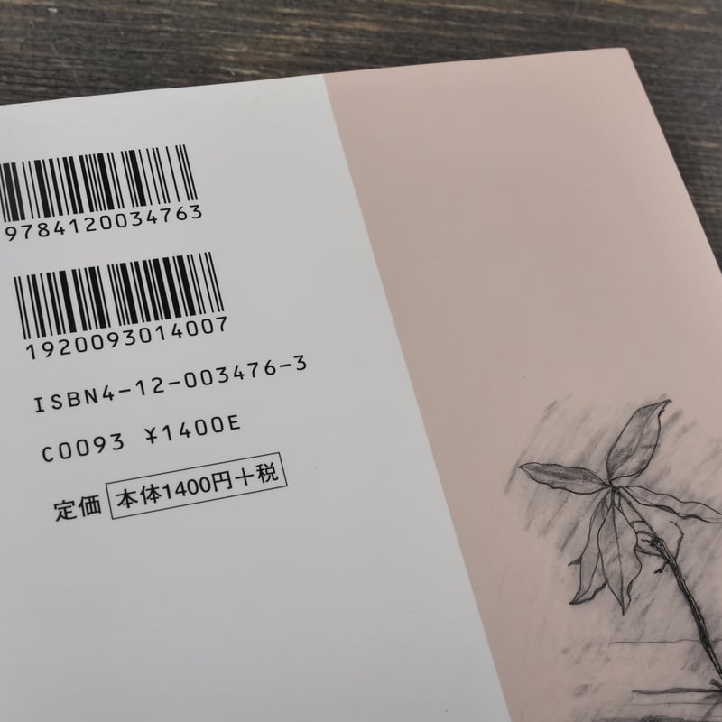 二百年の子供 大江健三郎 | 古書店うみつばめ