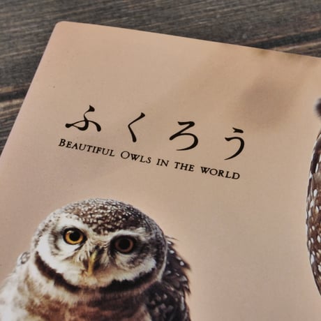 ふくろう　バイ インターナショナル