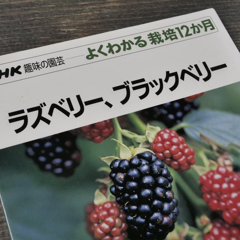 【ブラックベリーページ】 NHK趣味の園芸 よくわかる栽培12か月 ラズベリー、ブラックベリー 國