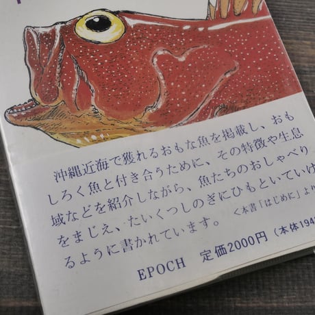おきなわ魚　＝おもしろハンドブック= 　泉見亨 著　※再入荷