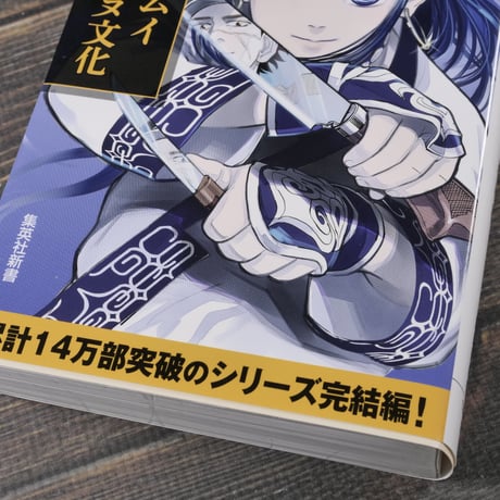 ゴールデンカムイ 絵から学ぶアイヌ文化　中川 裕（集英社新書）※２種類カバー