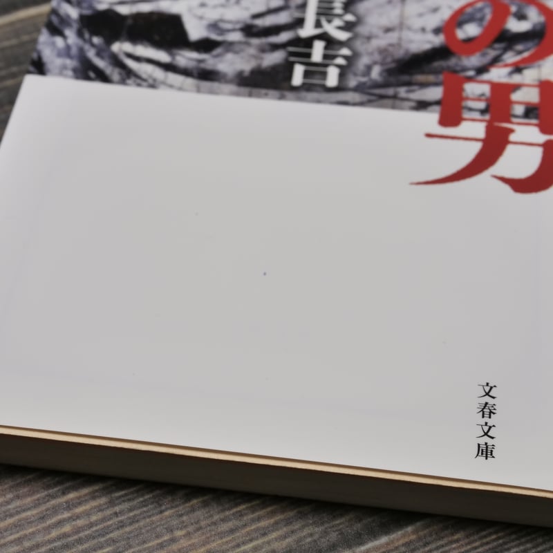 灘の男 車谷長吉(文春文庫） | 古書店うみつばめ