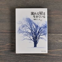 流れる星は生きている　藤原てい（中公文庫）