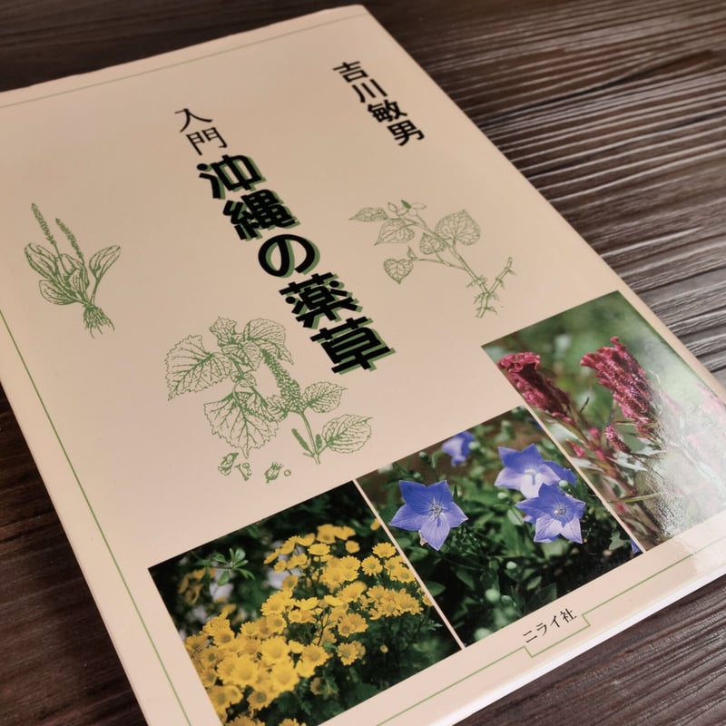 入門沖縄の薬草 吉川敏男 | 古書店うみつばめ 入門沖縄の薬草 吉川敏男 | 古書店うみつばめ