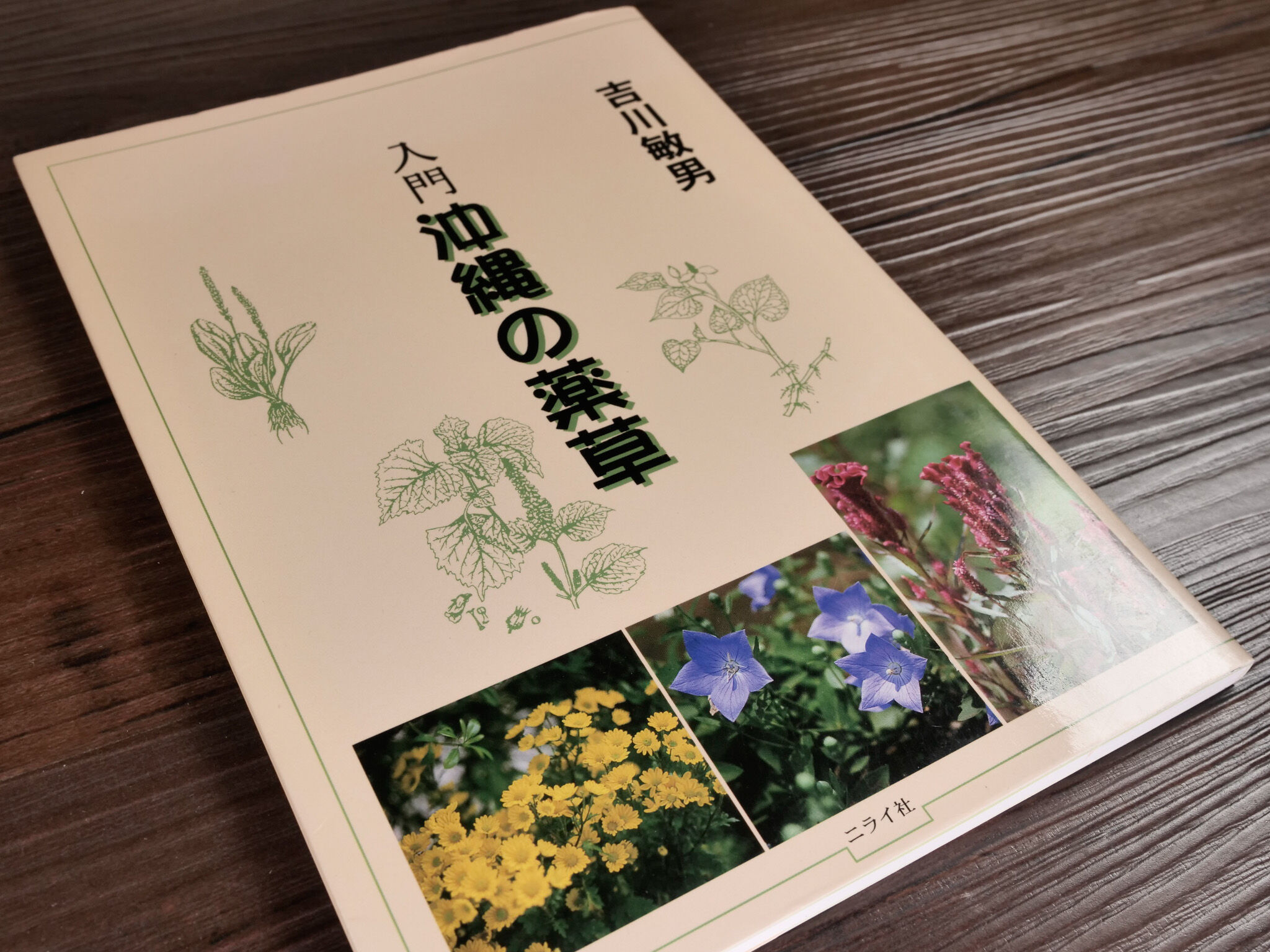 入門沖縄の薬草 吉川敏男 | 古書店うみつばめ