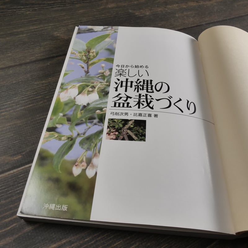 今日から始める 沖縄の盆栽づくり 弓削次男 比嘉正喜 | 古書店うみつばめ