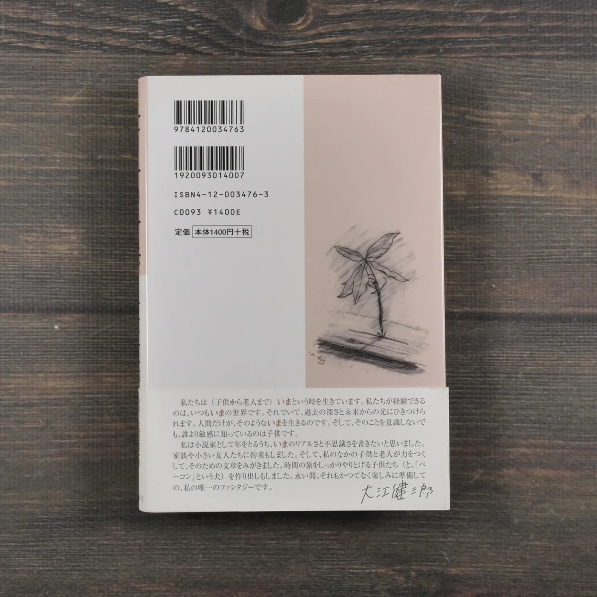 二百年の子供 大江健三郎 | 古書店うみつばめ