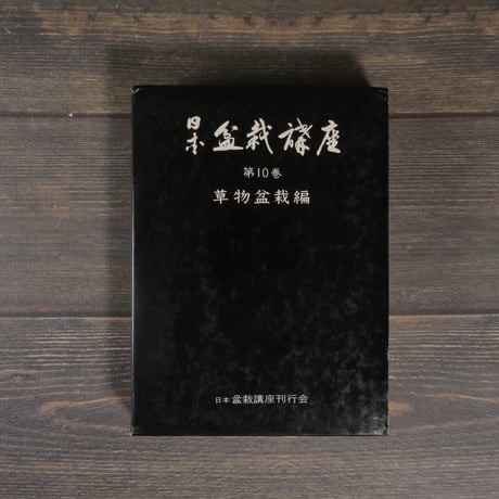 日本盆栽講座　第10巻　草物盆栽編　日本盆栽講座刊行会