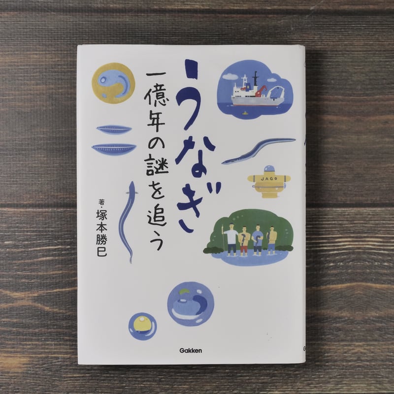 科学ノンフィクション うなぎ -一億年の謎を追う-（A5判）塚本勝巳