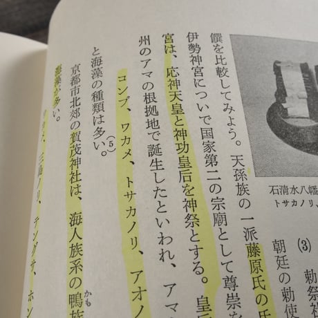 ものと人間の文化史　海藻　宮下章 　※書き込みアリ