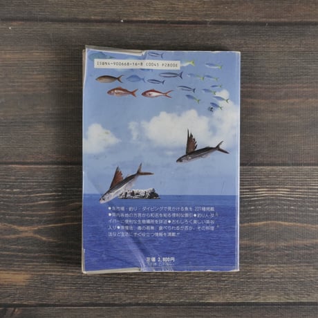 方言でしらべる 沖縄の魚図鑑  横井謙典