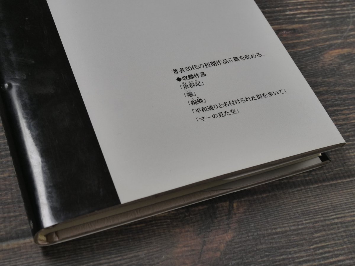 平和通りと名付けられた街を歩いて 目取真俊 初期短篇集 | 古