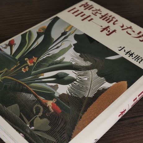 神を描いた男・田中一村（B6判）小林照幸