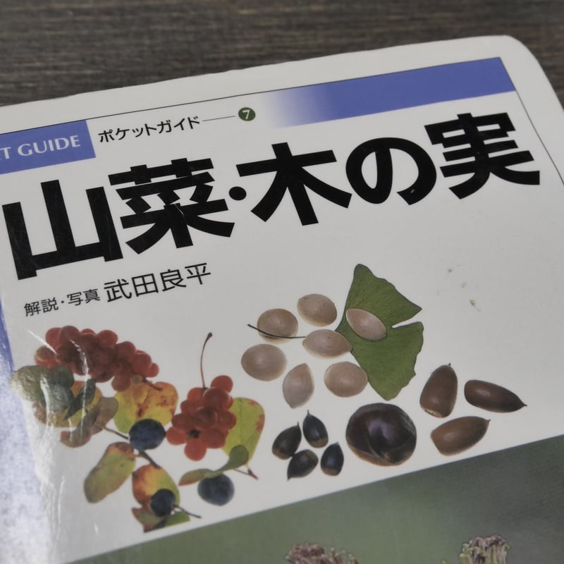 山菜・木の実 解説・写真：武田良平（小学館） | 古書店うみつばめ