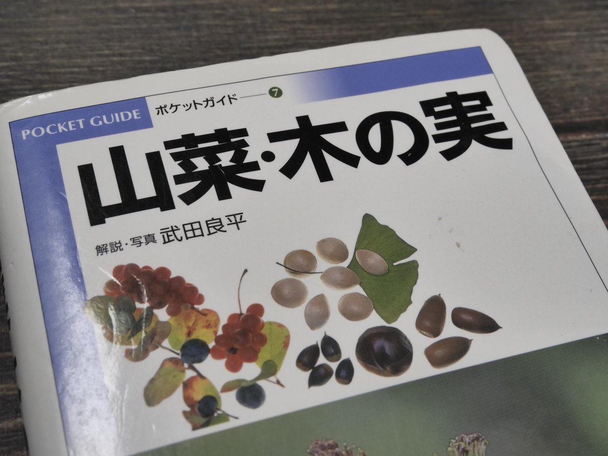 山菜・木の実 解説・写真：武田良平（小学館） | 古書店うみつばめ