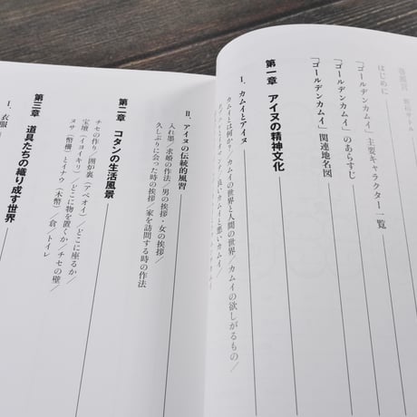 ゴールデンカムイ 絵から学ぶアイヌ文化　中川 裕（集英社新書）※２種類カバー