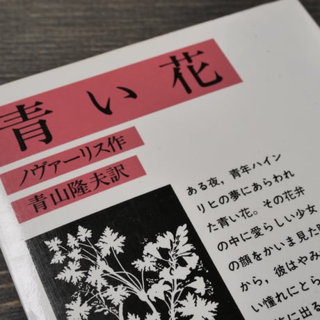 青い花 ノヴァーリス／青山隆夫訳（岩波文庫）