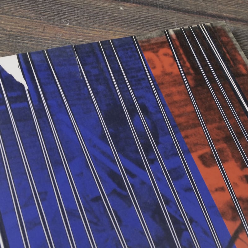 フレデリック・ワイズマンのすべて レトロスペクティヴ カタログ フレデリック・ワイズマンのすべて レトロスペクティヴ カタログ