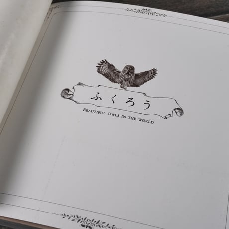 ふくろう　バイ インターナショナル