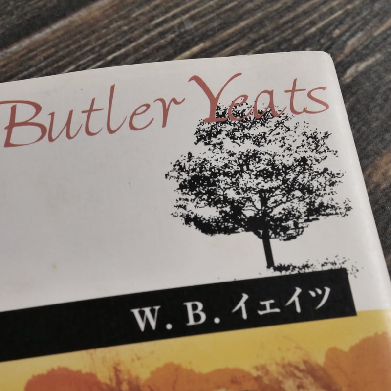 薔薇 W．B．イェイツ（角川文庫）※初版 | 古書店うみつばめ