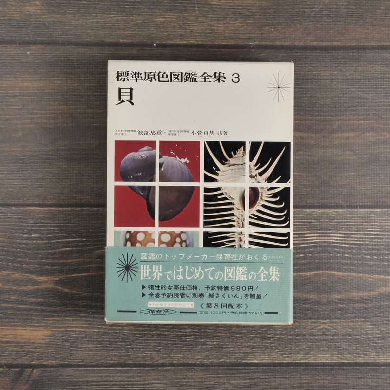 標準原色図鑑全集3 貝 波部忠重・小菅貞男（初版） | 古書店うみつばめ