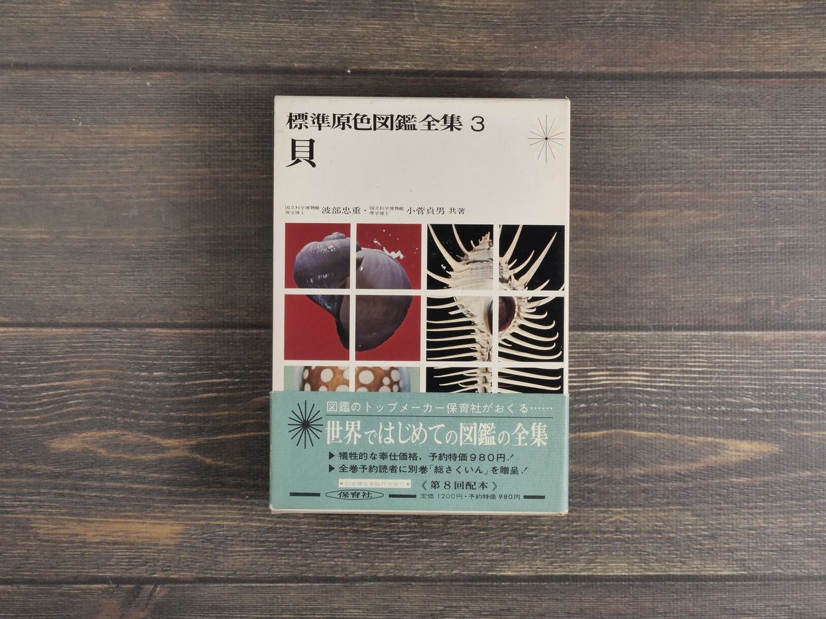 標準原色図鑑全集3 貝 波部忠重・小菅貞男（初版） | 古書店うみつばめ