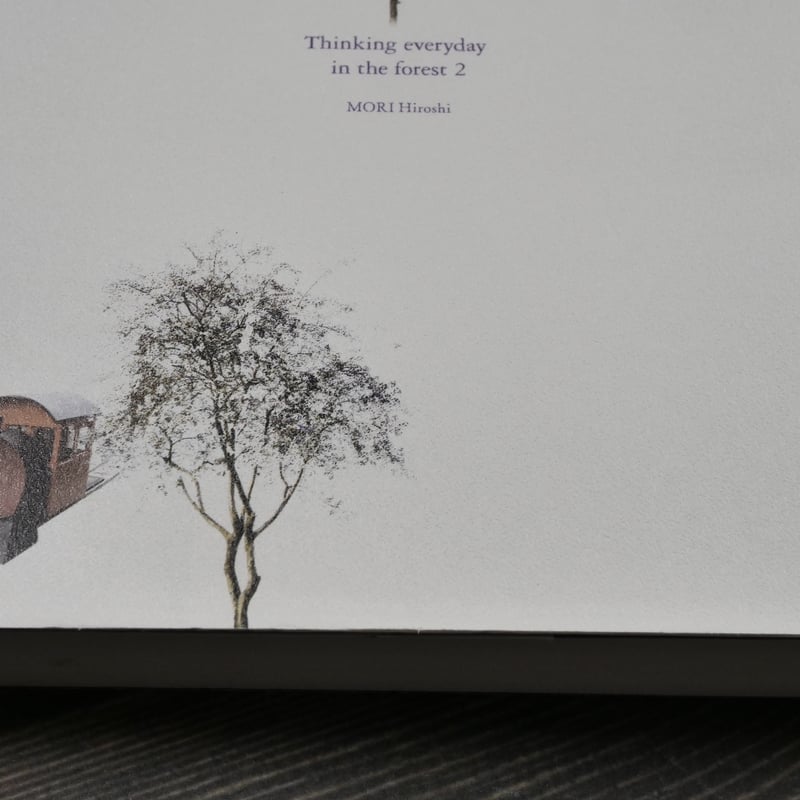 森遊びの日々 森博嗣 | 古書店うみつばめ