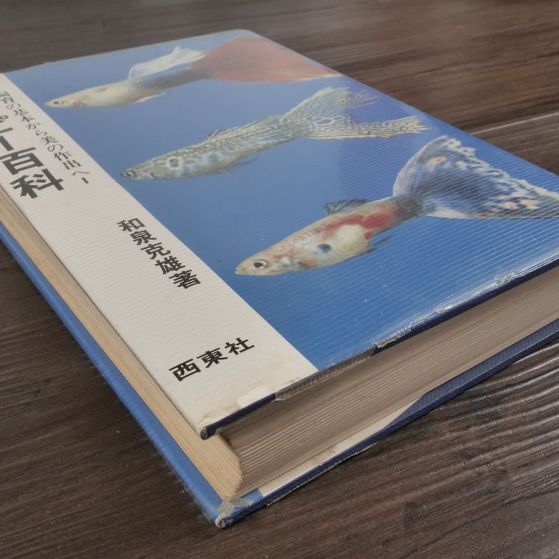 グッピー百科 飼育の基本から美の作出へ（B6判）和泉克雄 | 古書店うみ