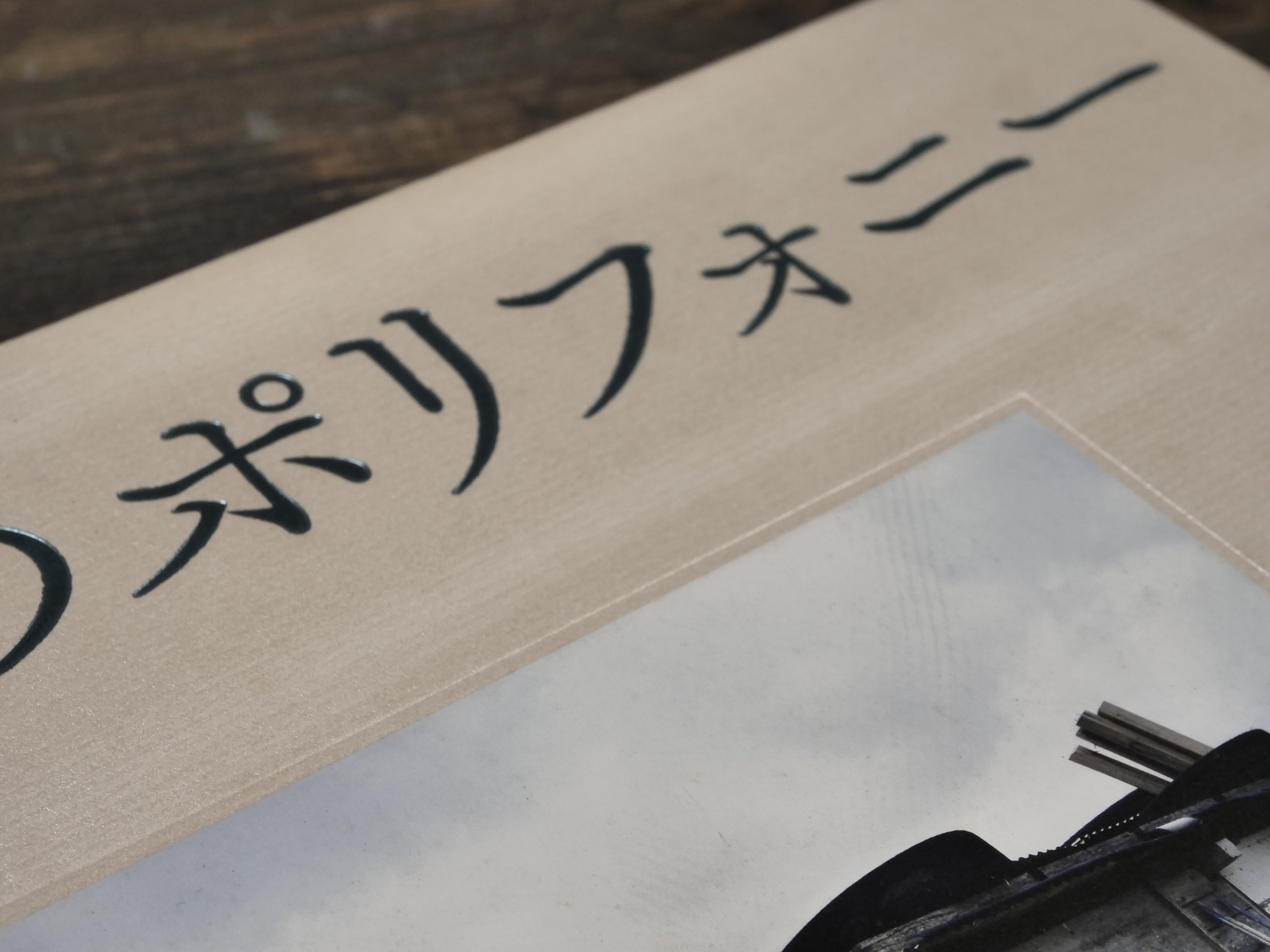 絶景のポリフォニー 石川竜一 ※初版 | 古書店うみつばめ