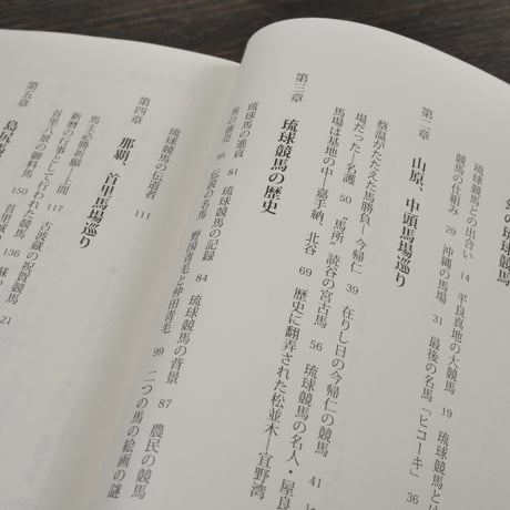 消えた琉球競馬　幻の名馬「ヒコーキ」を追いかけて　梅崎晴光