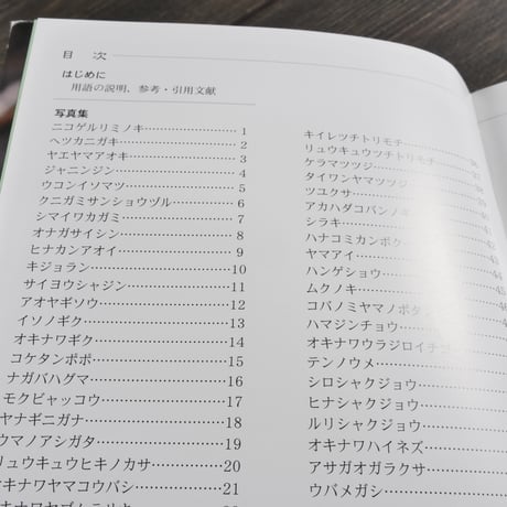 沖縄本島の絶滅のおそれのある草木　仲村昇