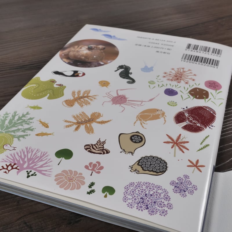 琉球列島―生物の多様性と列島のおいたち (Tokai library) 琉球列島: 生物の多様性と列島のおいたち (TOKAI LIBRARY
