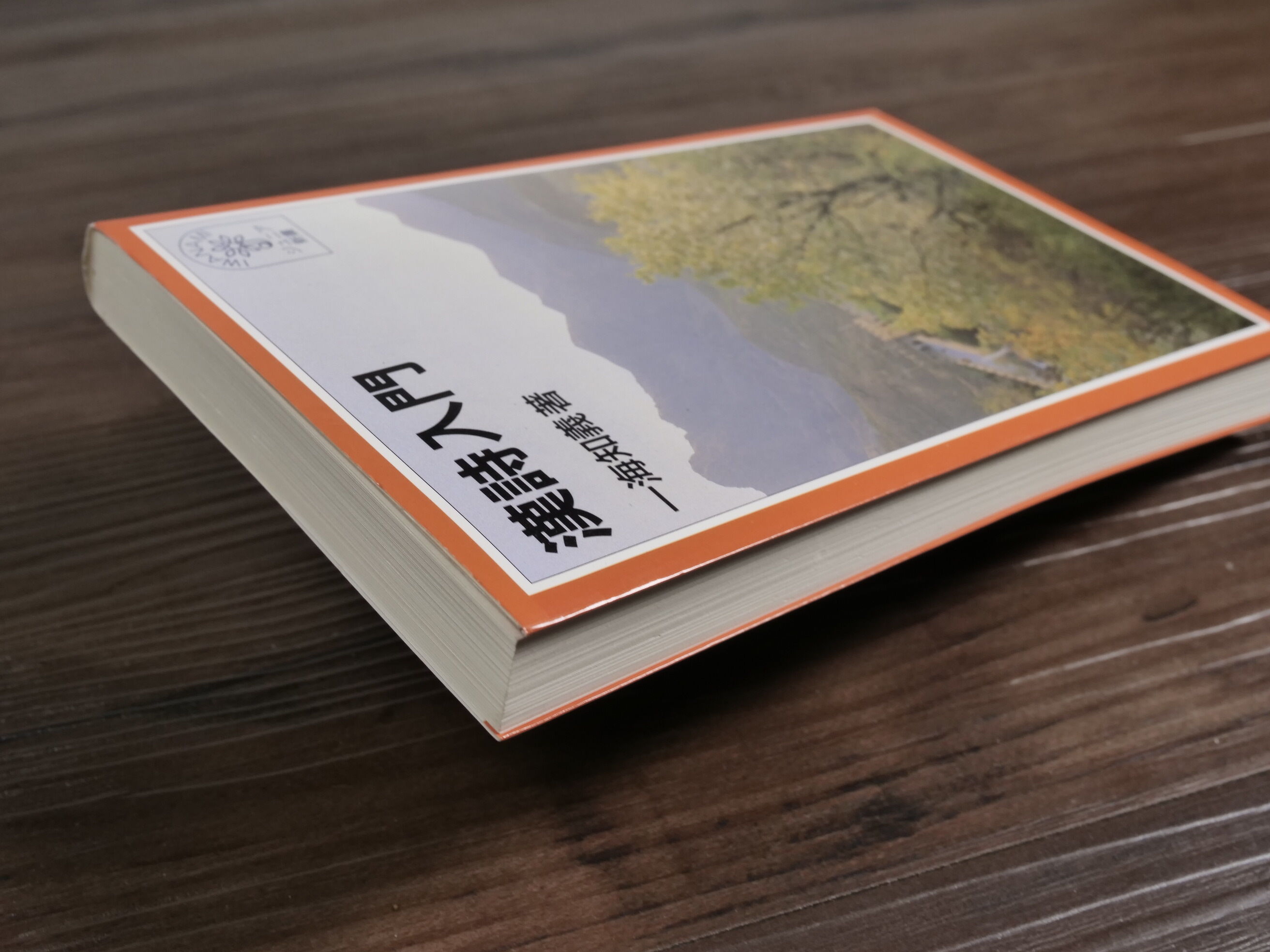 漢詩入門（岩波ジュニア新書）一海 知義 | 古書店うみつばめ