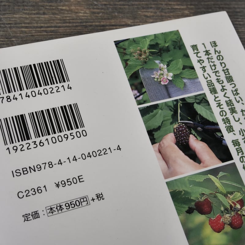 NHK趣味の園芸 よくわかる栽培12か月 ラズベリー、ブラックベリー 國