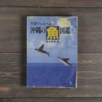 方言でしらべる 沖縄の魚図鑑  横井謙典