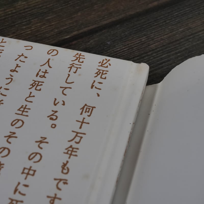 わたしの舞踏の命（A5判）大野一雄 | 古書店うみつばめ
