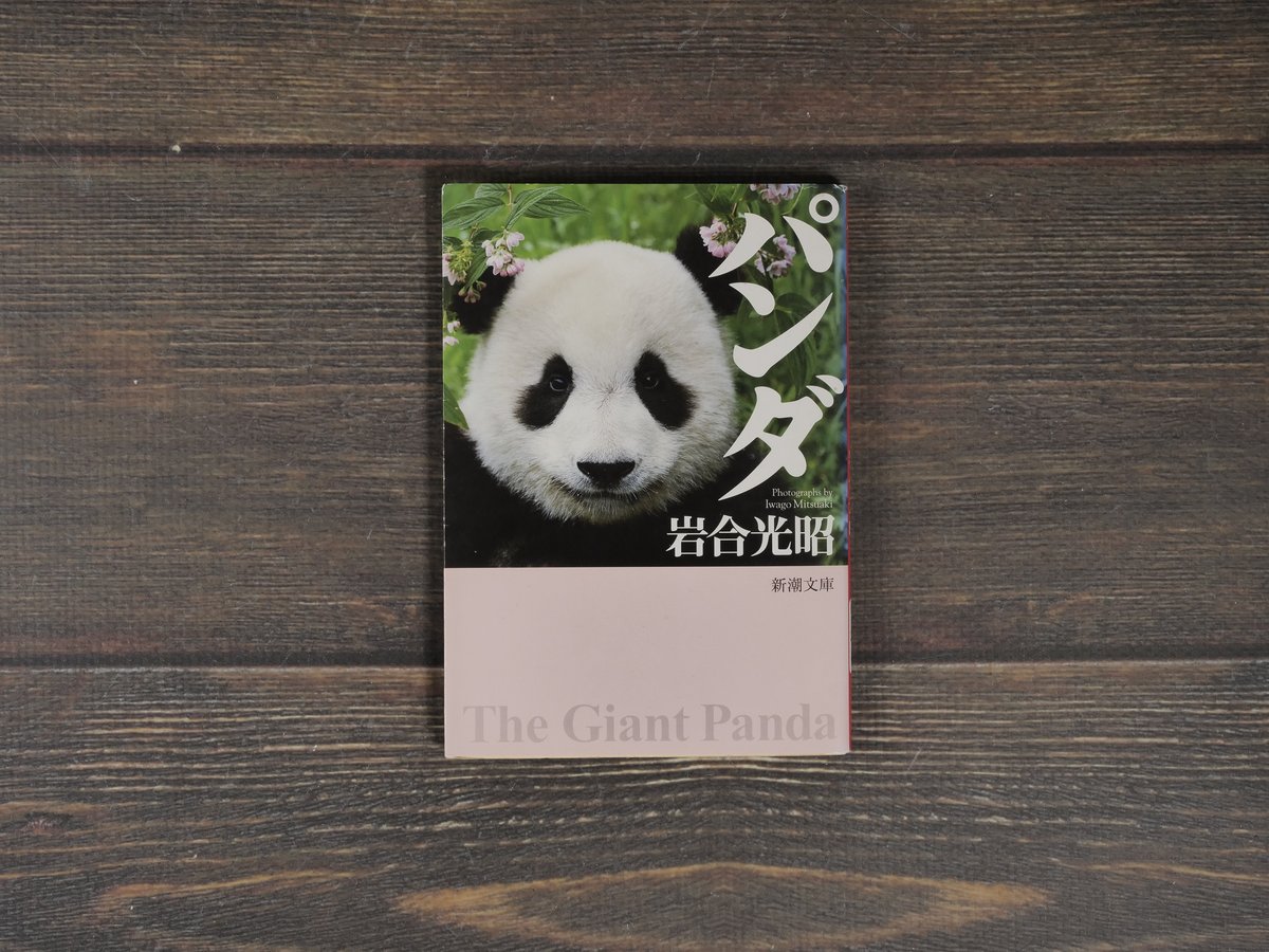 パンダ パンダ 岩合光昭（新潮文庫） | 古書店うみつばめ