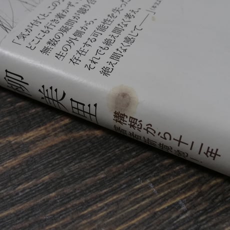 ＪＲ上野駅公園口（四六判）柳 美里