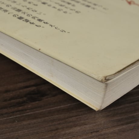 種田山頭火　漂泊の俳人（講談社現代新書）金子 兜太